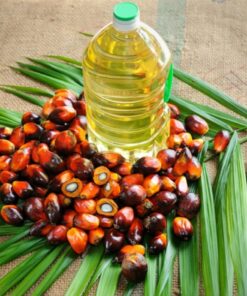 Palm Oil