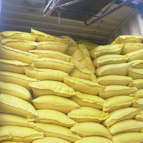 White Corn/Maize - Image 2
