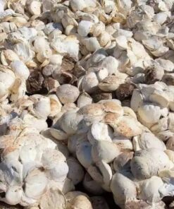 Alternative view of Natural cup lump rubber 70% DRC top-quality rubber product from Tanzania