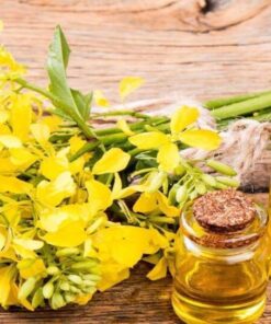 Refined Rapeseed Oil