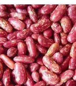 RED SPICKLED KIDNEY BEANS